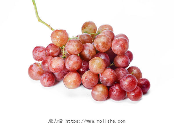 白底美味可口新鲜水果提子葡萄一串红提一串葡萄